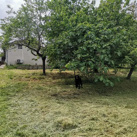 Maison Avec Jaccuzi Privatif Apartman *