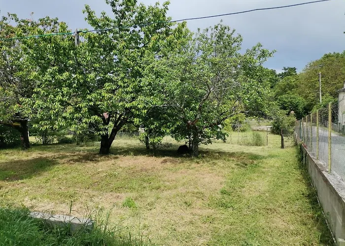 Maison Avec Jaccuzi Privatif Lägenhet *